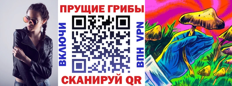 Галлюциногенные грибы GOLDEN TEACHER  ссылка на мегу как зайти  Томари 